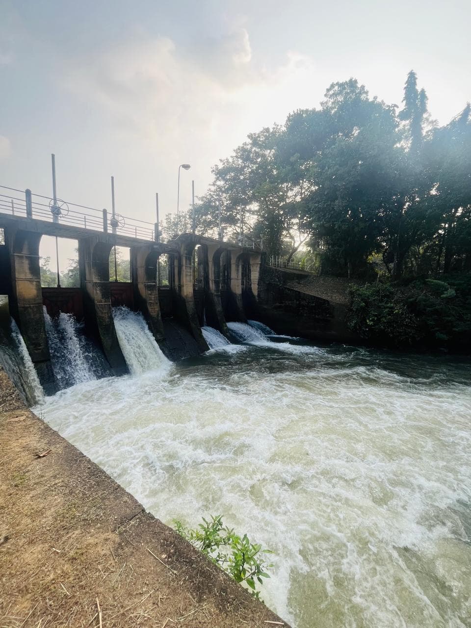 Mahaweli Water Security Investment Program – Feasibility Study