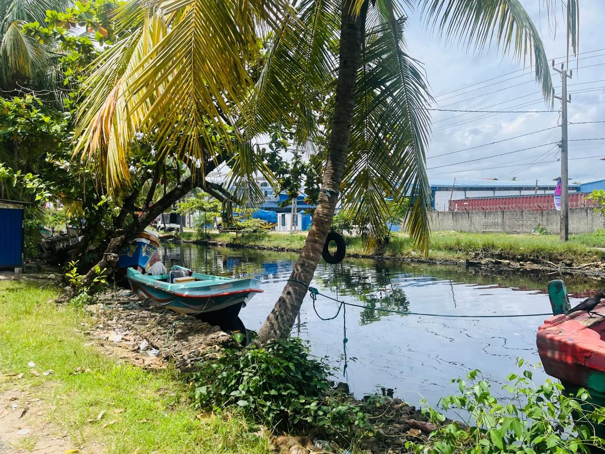 URBANO Project – Baseline Survey